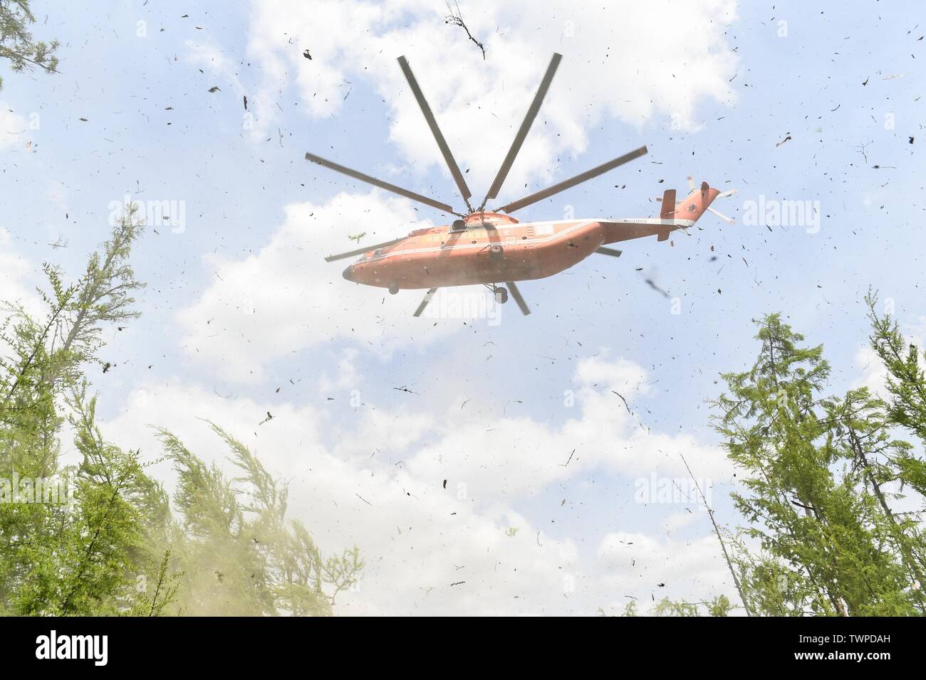 Région autonome de Mongolie, le 22 juin 2019. (190622) -- GENHE, 22 juin 2019 (Xinhua) -- Un hélicoptère transportant les chefs des pompiers du site de l'incendie de forêt Xiushan Ferme du Grand Hinggan, montagnes du nord de la Chine intérieure d'un incendie de forêt qui ont fait rage pendant trois jours dans le nord de la Chine, région autonome de Mongolie intérieure a été contenue, les autorités locales ont déclaré samedi. L'opération de nettoyage est en cours à Xiushan, selon le siège de l'incendie. Après un énorme effort de plus de 5 000 pompiers, le feu a été mis sous contrôle sur tous les fronts b Banque D'Images