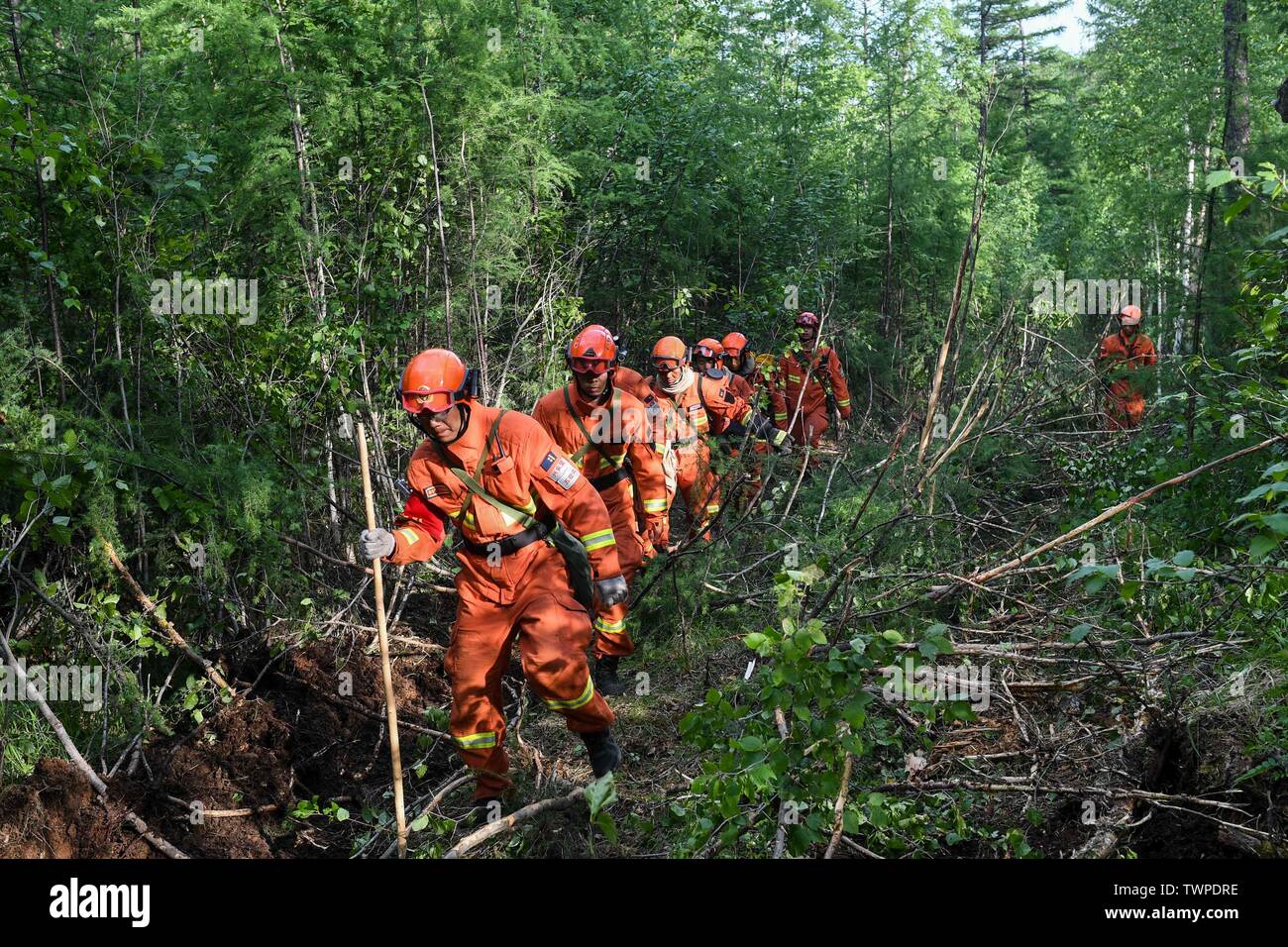 Genhe. 22 Juin, 2019. Les pompiers font leur chemin à un feu de forêt dans le nord de la Chine intérieure d'un incendie de forêt qui ont fait rage pendant trois jours dans le nord de la Chine, région autonome de Mongolie intérieure a été contenue, les autorités locales ont déclaré samedi. L'opération de nettoyage est en cours à Xiushan, selon le siège de l'incendie. Après un énorme effort de plus de 5 000 pompiers, le feu a été mis sous contrôle sur tous les fronts par 4:40 h le samedi. Credit : Liu Lei/Xinhua/Alamy Live News Banque D'Images