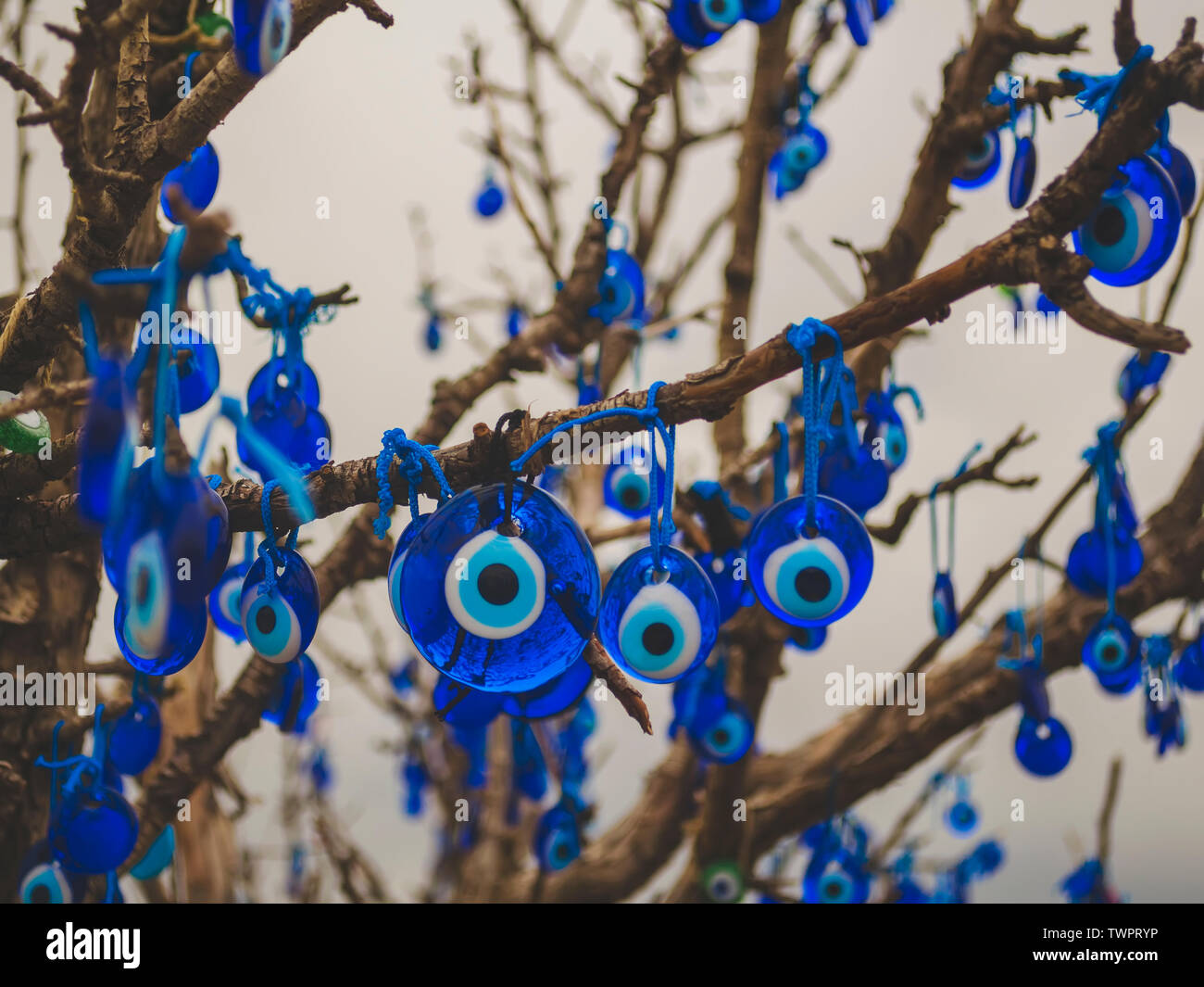 De nombreuses amulettes traditionnel turc - Nazar boncuk ou Œil de Fatima sont accrochées sur les branches d'un arbre souhaits Banque D'Images
