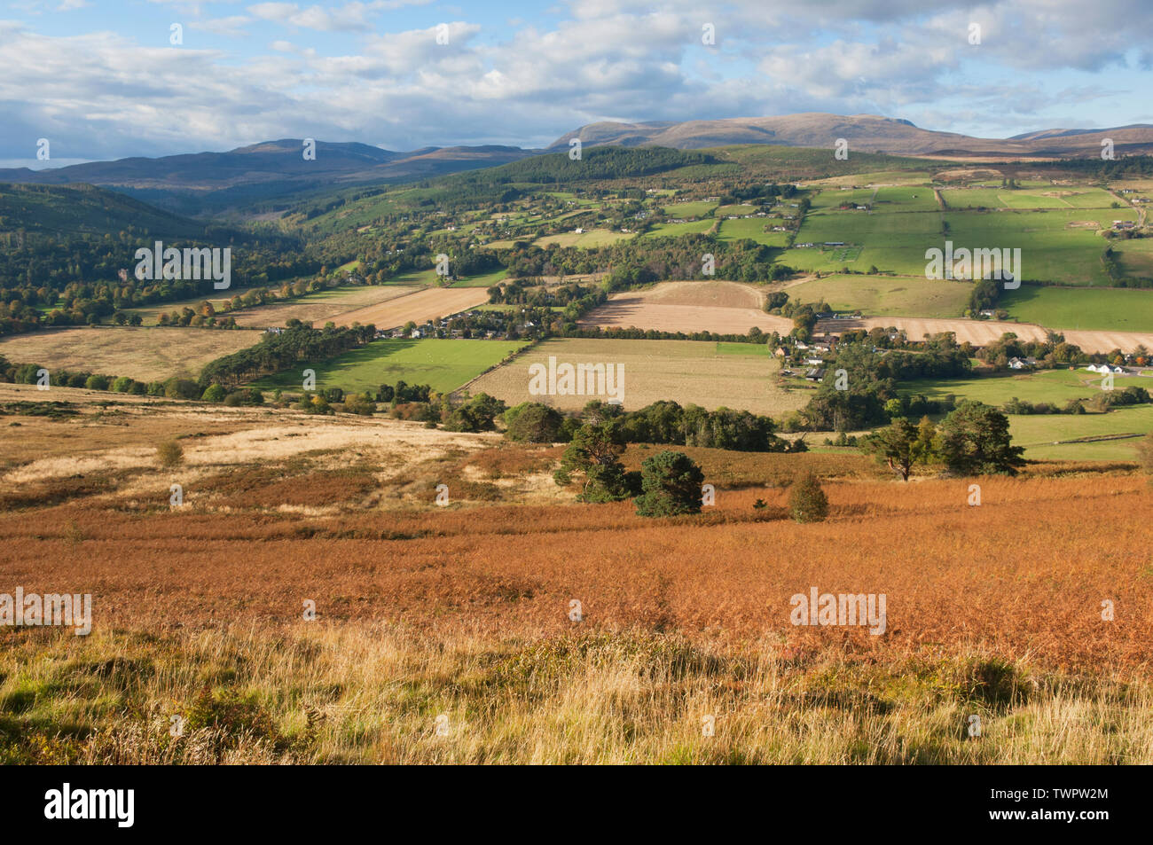 Les terres agricoles entre Strathpeffer et Dingwall avec Ben Wyvis derrière - Ross-shire, en Écosse. Banque D'Images