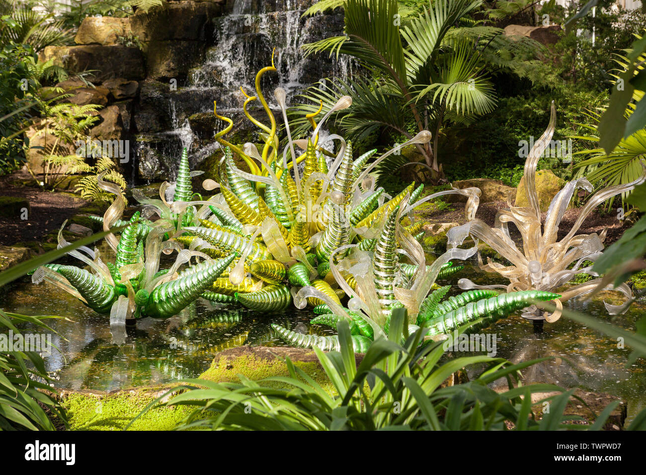 Fiori Verdi est une sculpture de verre artiste contemporaine USA Dale Chihuly, situé dans la chambre tempérée à Kew Gardens, Richmond, London, UK. Banque D'Images