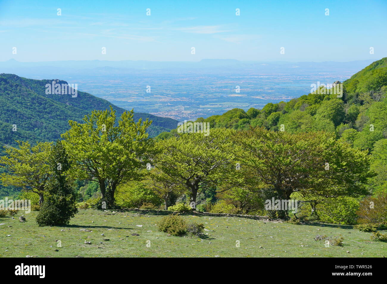 France paysage, la plaine du Roussillon vu depuis les montagnes du massif des Albères, Pyrénées Orientales Banque D'Images