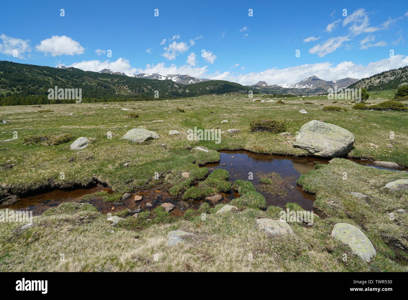 France paysage alpage avec un petit ruisseau en premier plan, Pyrénées-Orientales, parc naturel des Pyrénées Catalanes Banque D'Images