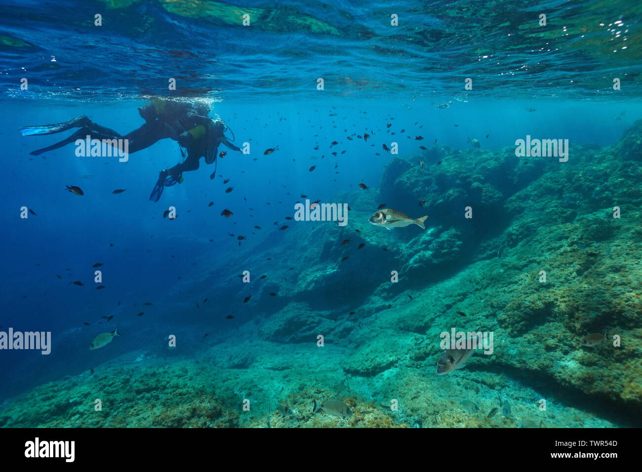 Première plongée plongeurs, des profils avec un enfant sur la surface de l'oeil à poisson sous l'eau, mer Méditerranée, France Banque D'Images