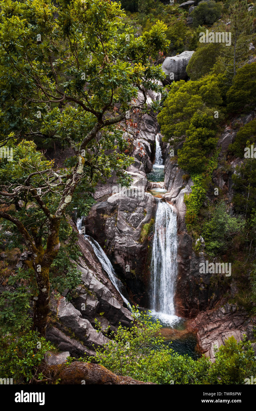 La belle chute d'Arado (Cascata do Arado) au parc national de Peneda Geres dans le nord du Portugal, l'Europe. Banque D'Images