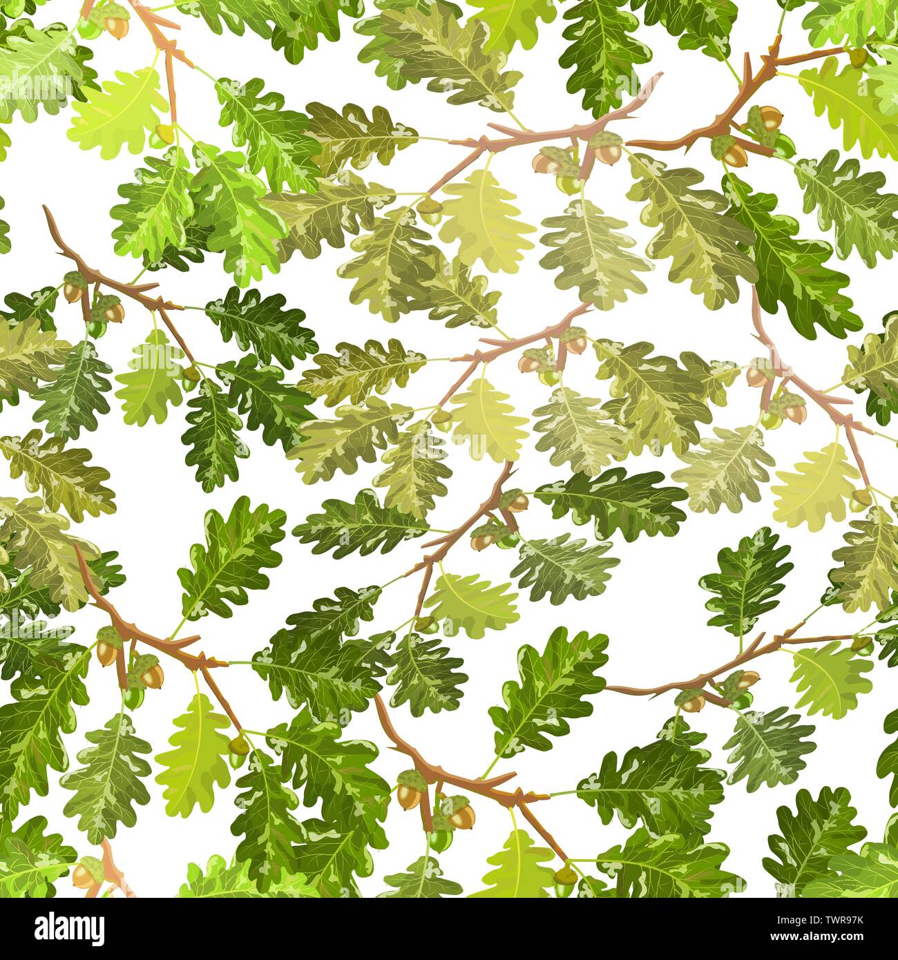 Branche de chêne avec des glands et des feuilles fond papier peint motif transparent Illustration de Vecteur