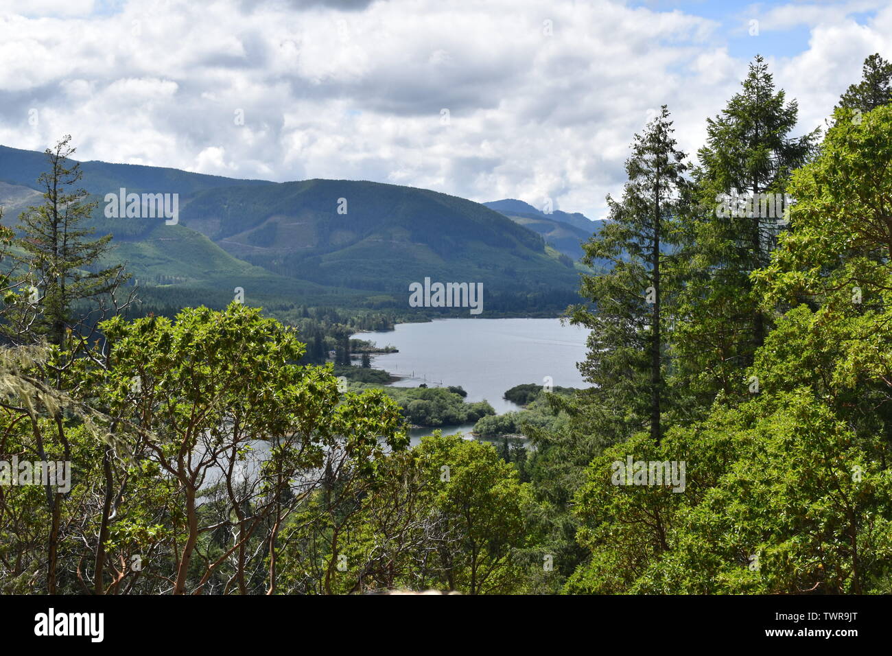 Vue de la vallée de Cowichan, à partir de la piste de montagne Mesachie Banque D'Images