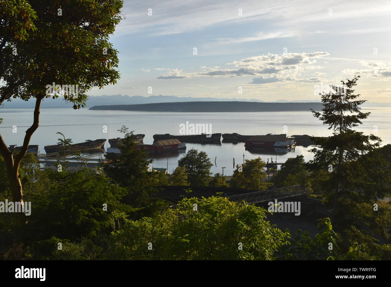 WW2 faire des navires en béton le plus grand brise-lames flottant à Powell River, BC, Canada Banque D'Images