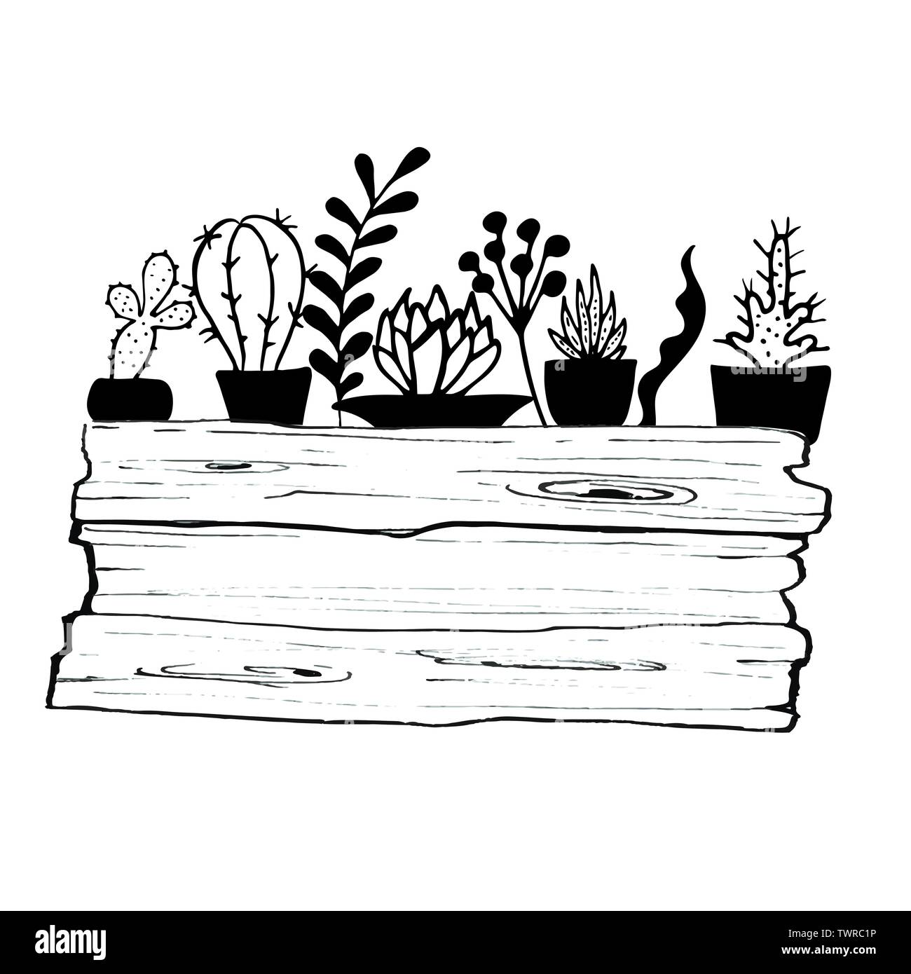 Ensemble de cactus, hand drawn vector illustration Illustration de Vecteur