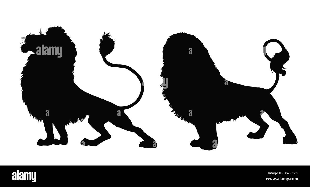 Lion silhouette. Lions 2 illustrations. Big cat dessin. Banque D'Images