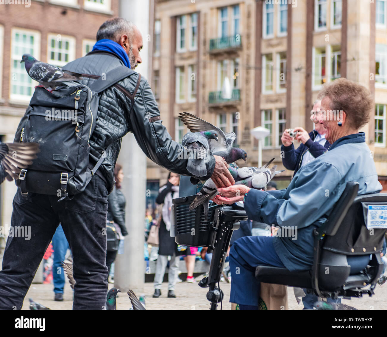 Pigeons d'alimentation sur des terres aux touristes dans la place du Dam Amsterdam Pays-Bas - pigeons sur les gens - les pigeons volant près de personnes handicapées - tourist Banque D'Images