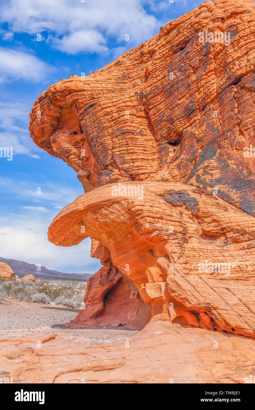 Des formations de roche de grès rouge érodés dans Valley of Fire State Park. Le Nevada. USA Banque D'Images Des formations de roche de grès rouge érodés dans Valley of Fire State Park. Le Nevada. USA Banque D'Images