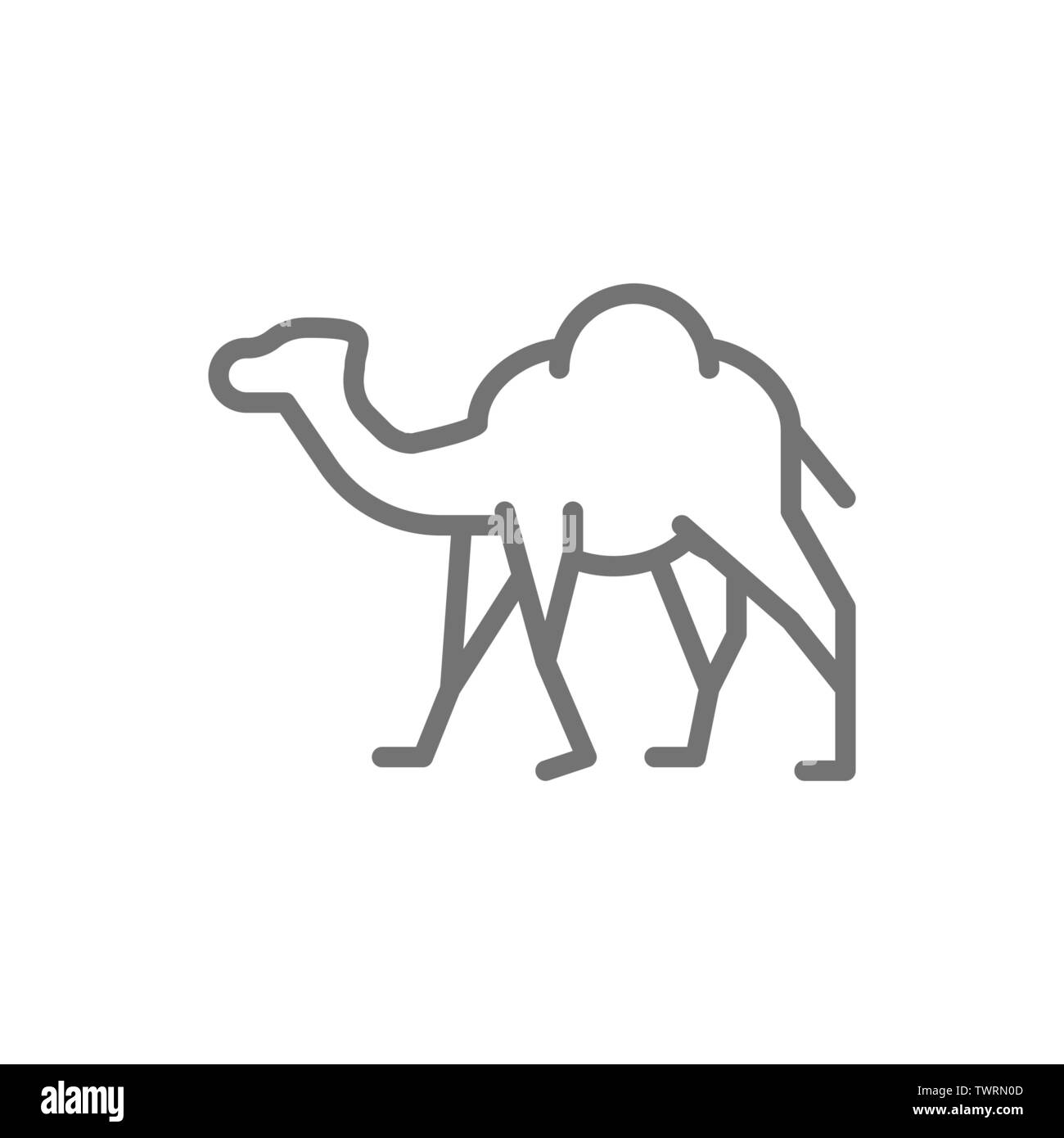 Caravane de chameaux, animaux du désert, l'icône de la ligne. Illustration de Vecteur