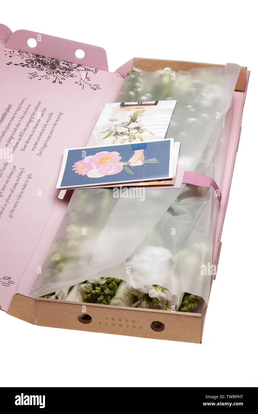 Bloom & letterbox sauvages fleurs fraîches Banque D'Images