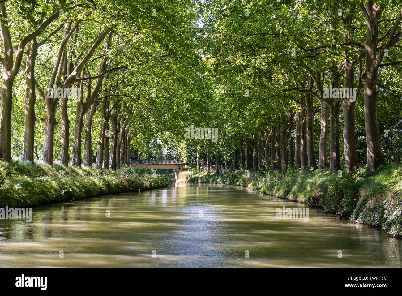 Look de l'été sur Canal du canal du Midi à Toulouse, dans le sud de Franc Banque D'Images