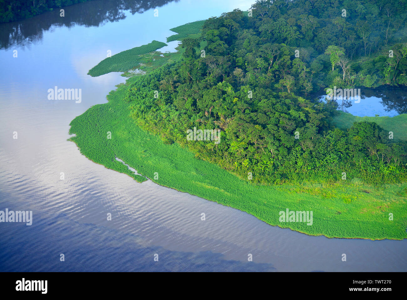 Vue aérienne du Parc National de Tortuguero. Costa Rica Banque D'Images