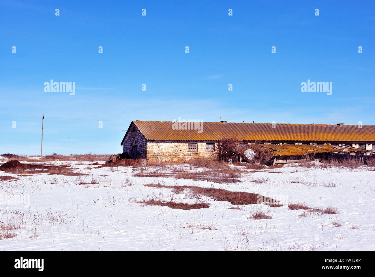 Coquina Crimée ferme , des blocs de roche altérée sec champ herbe couverte de neige, fond bleu ciel clair Banque D'Images