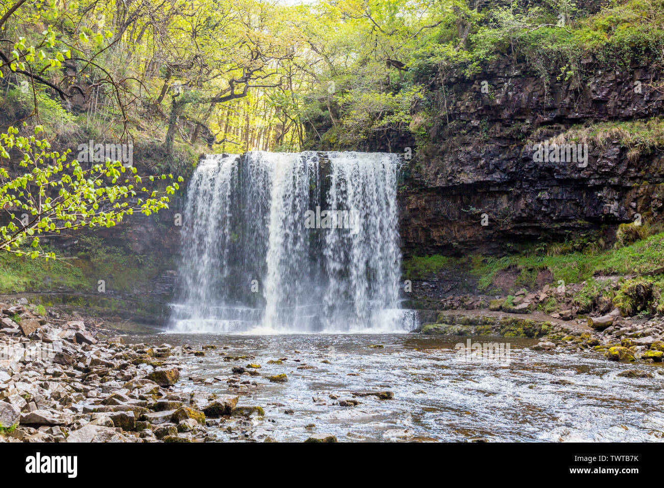 L'Afon Hepste cascade sur cascade Sgwd yr Eira sur les quatre cascades à pied dans le parc national de Brecon Beacons, Powys, Wales, UK Banque D'Images