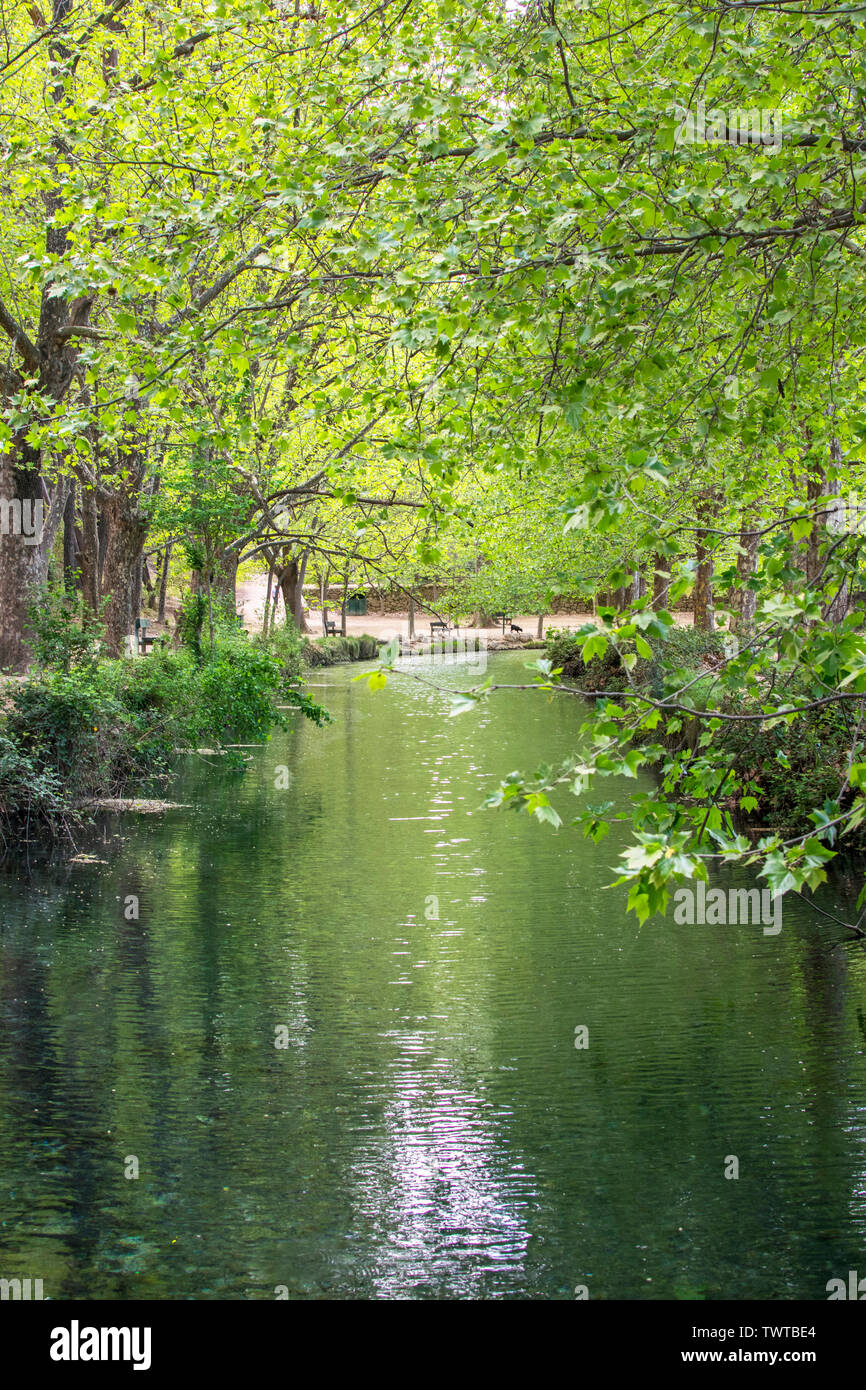 Hauteur des arbres et de la végétation verte à côté de la rivière reflétée sur l'eau. Fleur de printemps dans la région de Murcia, Espagne, 2019. La flore reflète dans la rivière. Parc naturel. Banque D'Images