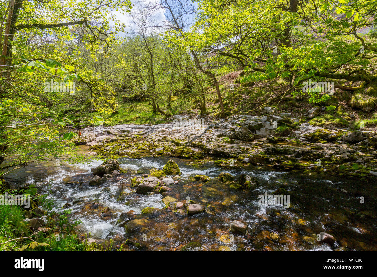 L'Afon Mellte s'écoule à travers anciens bois et de gorges abruptes sur les quatre cascades à pied dans le parc national de Brecon Beacons, Powys, Wales, UK Banque D'Images