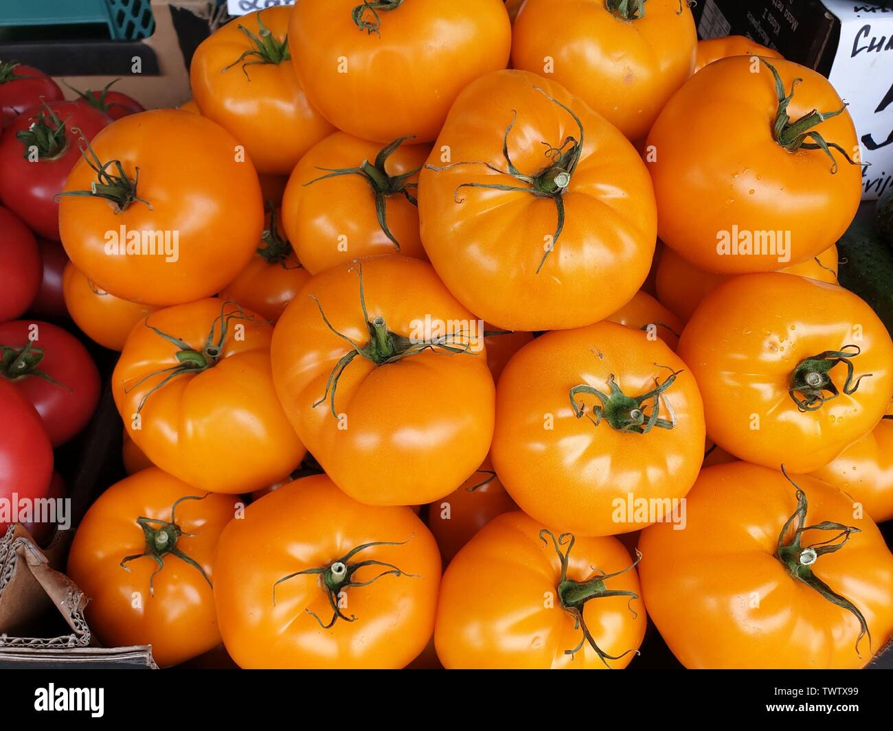 Image de tomates fraîches de l'orange-jaune Banque D'Images