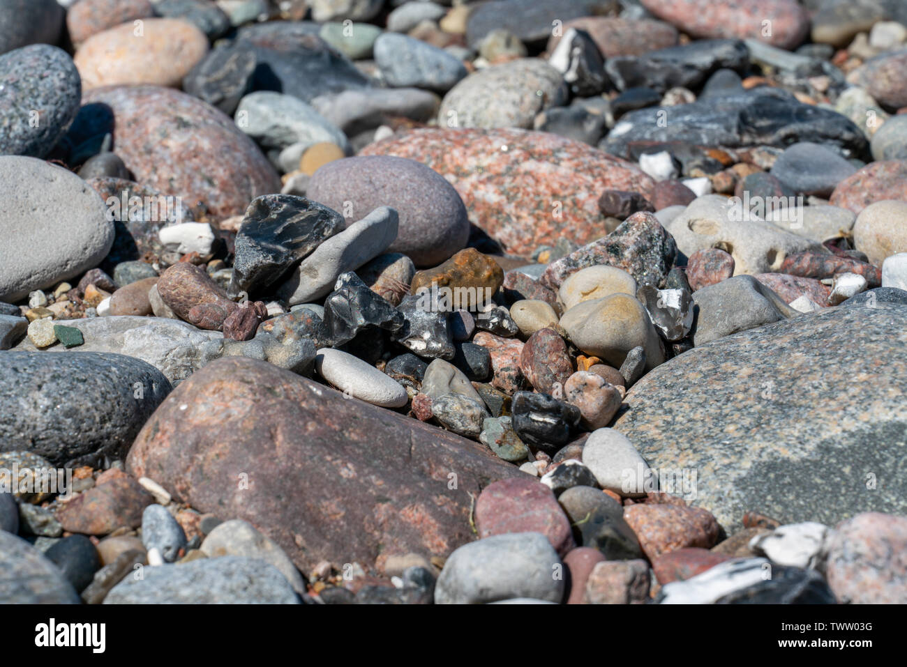 Cailloux multicolores sur une plage en plein soleil Banque D'Images