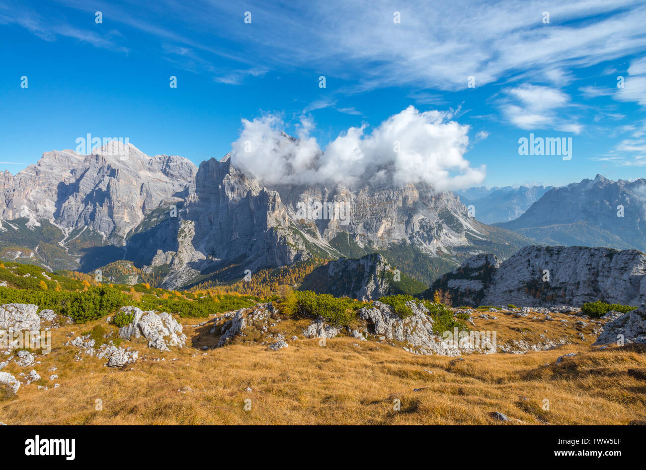 Mélèzes jaune en forêt avec vue sur le mont Moiazza, Alpes italiennes. Vue du sommet de la vallée et la forêt en couleurs d'automne. Feuillage en Italie. Banque D'Images
