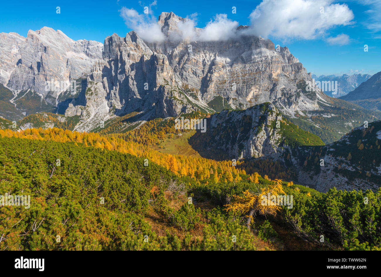Contraste frappant entre les conifères et les mélèzes jaune dans les Alpes italiennes. Moiazza sur la montagne avec des couleurs d'automne. Feuillage en Italie. Banque D'Images