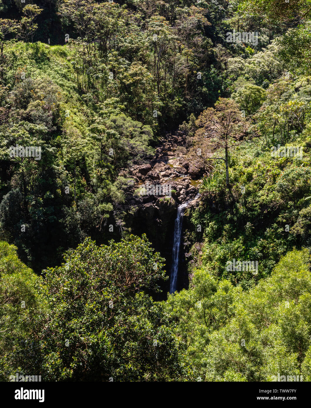 Belle cascade sur la route de Hana, dans la luxuriante forêt tropicale, Maui, Hawaii, USA Banque D'Images