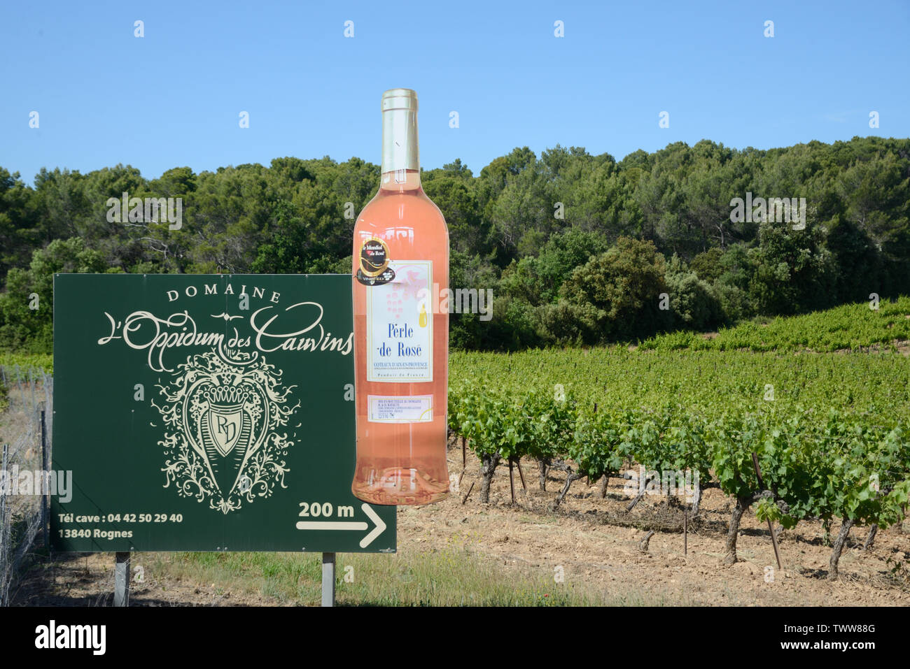 En forme de bouteille de vin Publicité Publicité en bordure de l'Oppidum des Cauvins Vignes, Coteaux d'Aix-en-Provence, à Rognes Provence France Banque D'Images