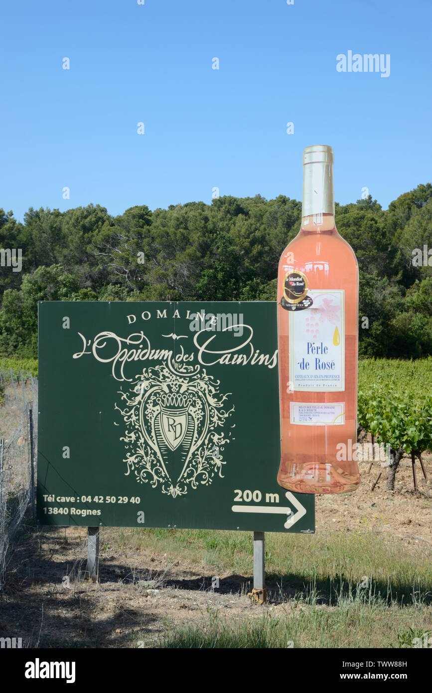 En forme de bouteille de vin Publicité Publicité en bordure de l'Oppidum des Cauvins Vignes, Coteaux d'Aix-en-Provence, à Rognes Provence France Banque D'Images