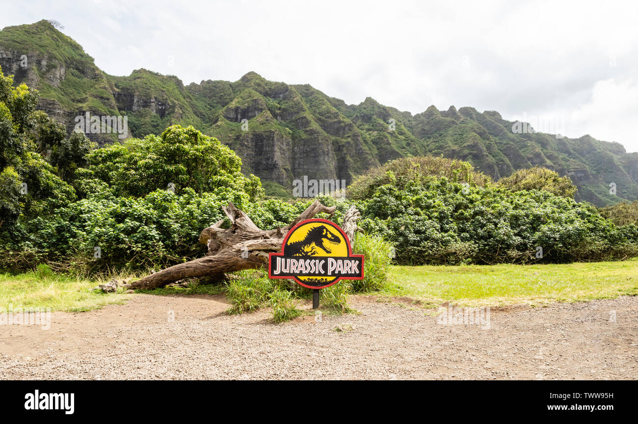 La souche d'arbre et lieu de tournage de la célèbre scène de gallimimus flocage dans Jurassic Park, Kualoa Ranch, Oahu, Hawaii, USA Banque D'Images