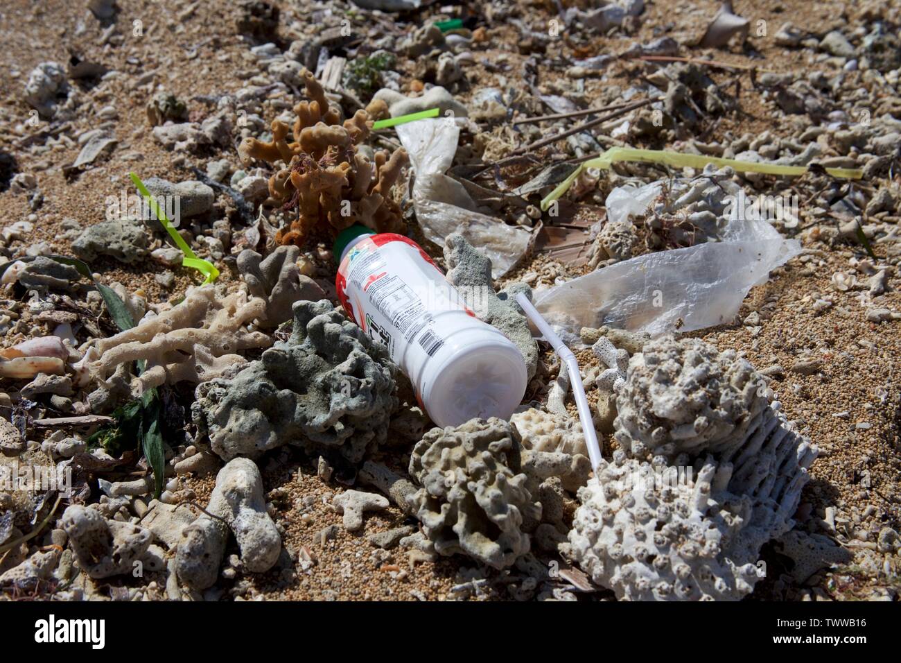 les déchets de plastique ont été lavés sur la plage Banque D'Images