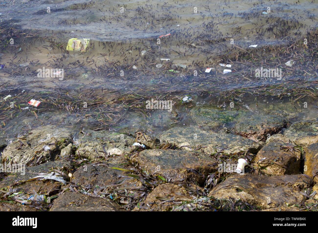 les déchets de plastique ont été lavés sur la plage Banque D'Images