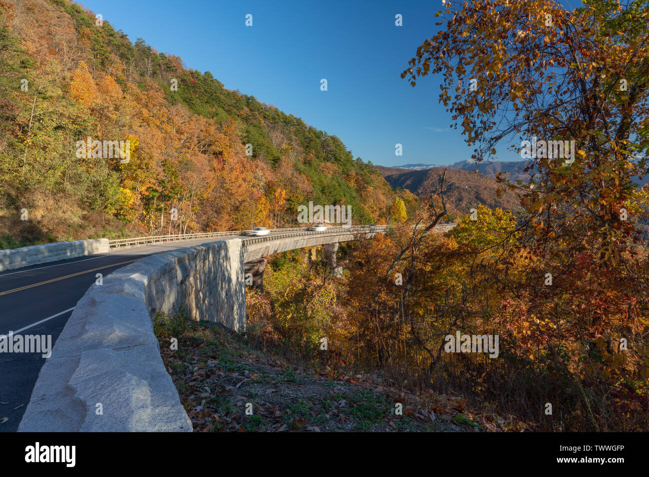 Superbe journée d'automne le long des contreforts des glaciers dans la vallée de porte dans le Great Smoky Mountain National Park. Banque D'Images