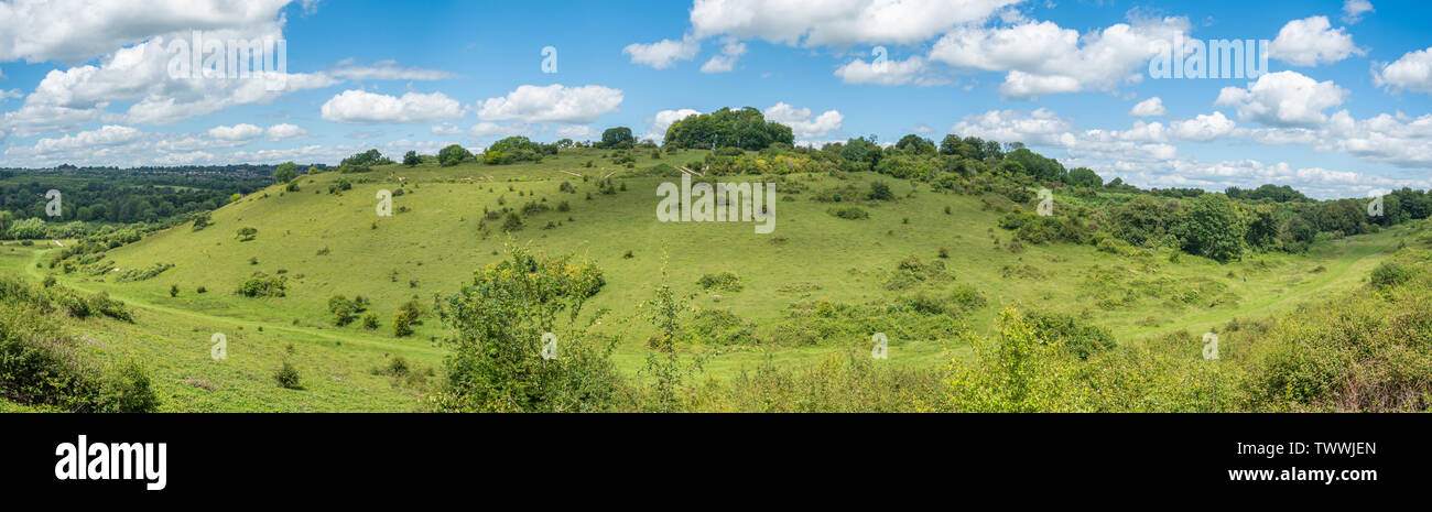 St Catherines Hill, paysage panoramique vue sur la colline dans le parc national des South Downs, Hampshire, Royaume-Uni Banque D'Images