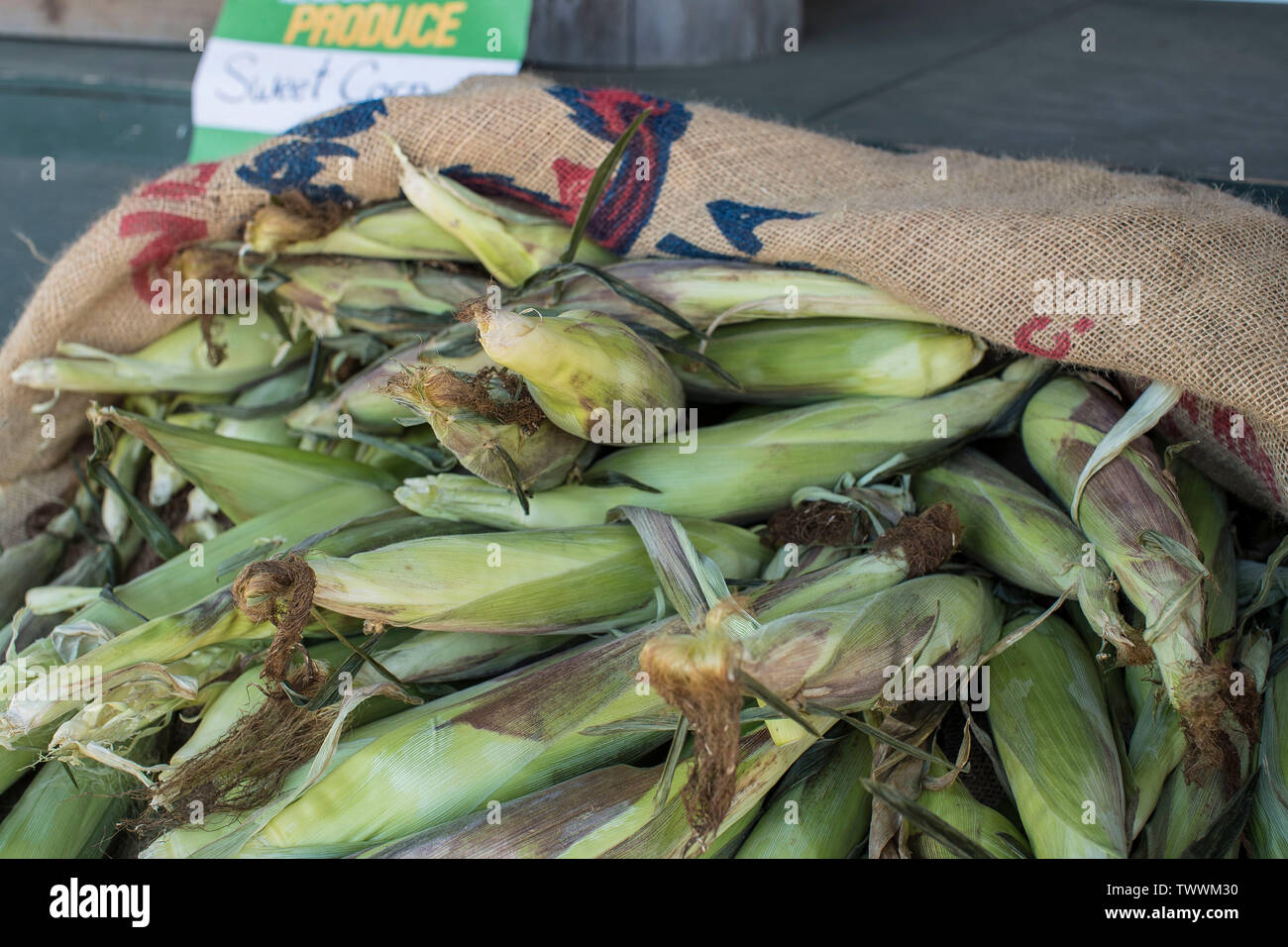 A commencé comme une ferme laitière, couvre maintenant 55 acres sur Plainfield Pike, dans la région de Johnson, RI. Friendly folks comme propriétaires, vend des fruits, des légumes et des articles spécialisés. Banque D'Images