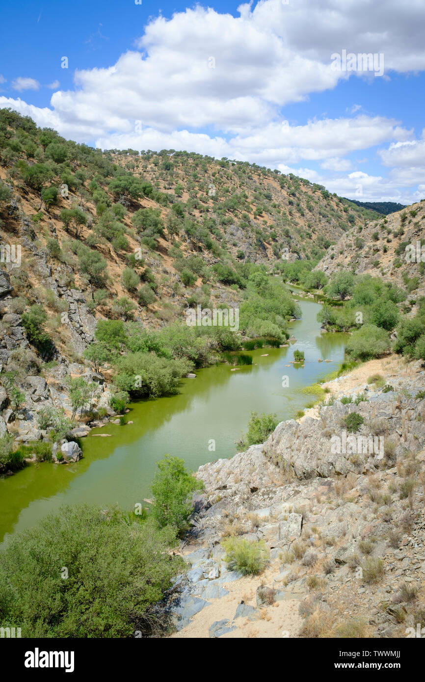 Salor river. Taejo Parc International. L'Estrémadure. L'Espagne. Banque D'Images