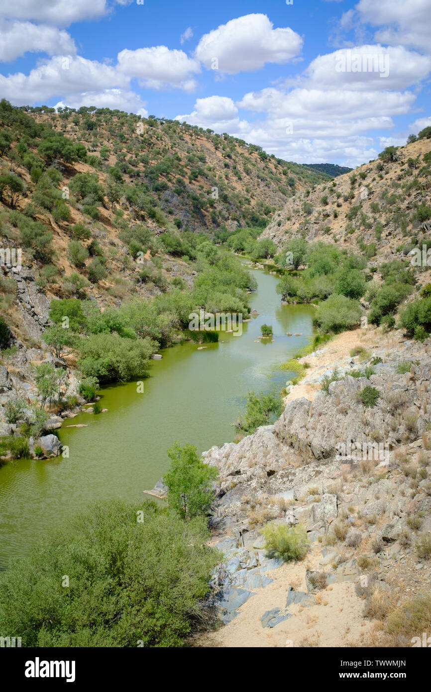 Salor river. Taejo Parc International. L'Estrémadure. L'Espagne. Banque D'Images