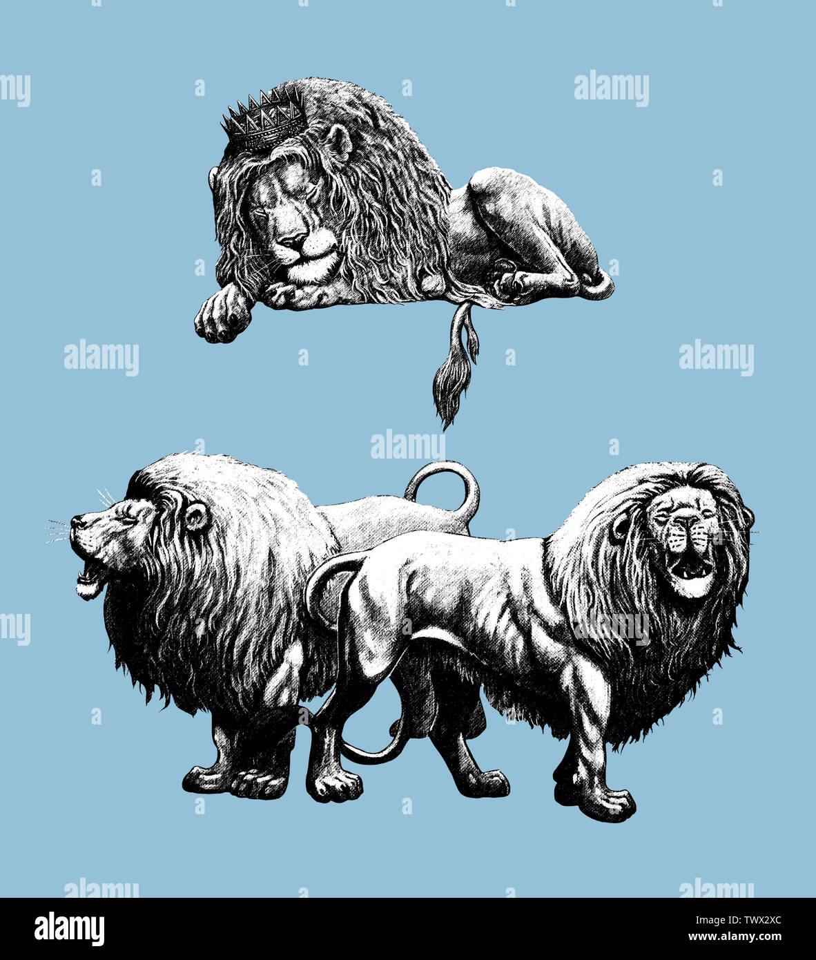 Lion silhouette. Lions 2 illustrations. Big cat dessin. Banque D'Images