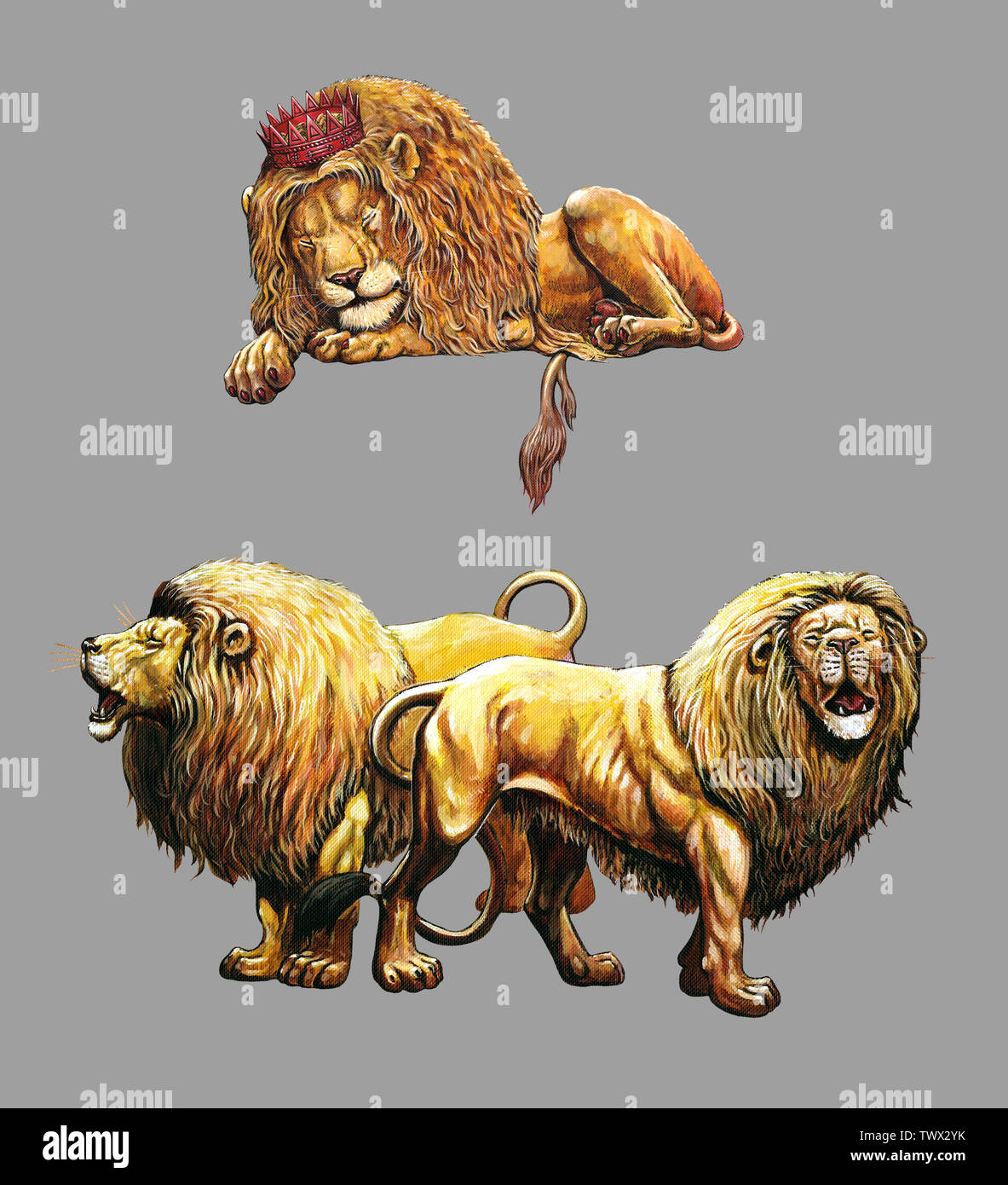 Dormir et lion rugissant. Lions 2 illustrations. Big cat illustration acrylique. Banque D'Images