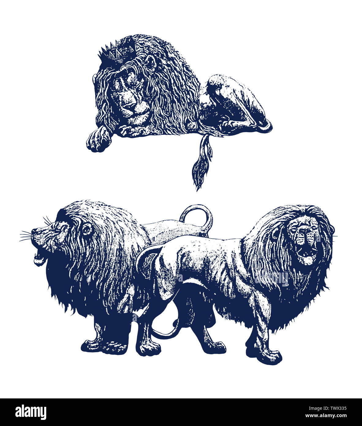 Dormir et lion rugissant. Lions 2 illustrations. Big cat dessin à l'encre. Banque D'Images