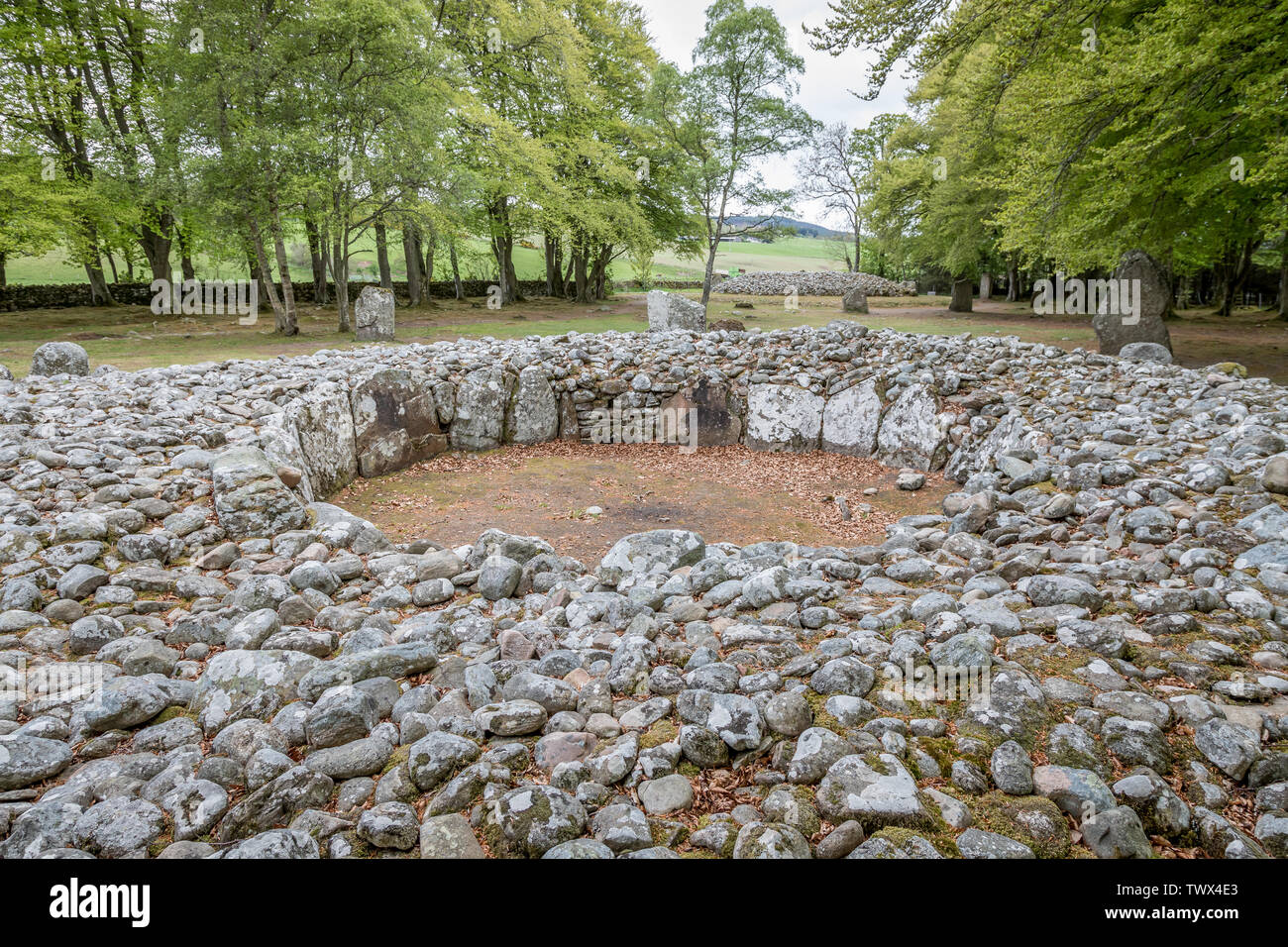 Balnuaran de Clava, Inverness, Scotland, UK Banque D'Images