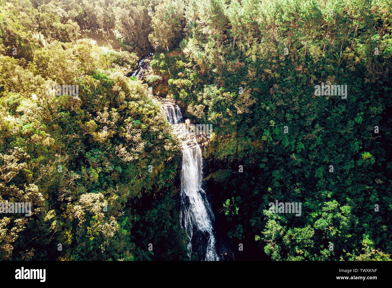 Drone aérien de vue des Chutes d'Alexandra à distance dans le parc national de la rivière Noire sur l'île paradisiaque de l'île Maurice. La tonalité de l'image. Banque D'Images