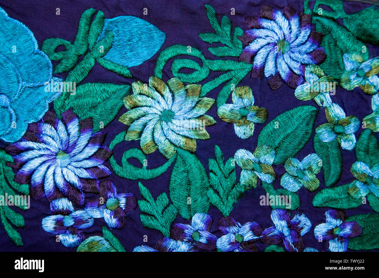 Motif de broderie florale sur tissu Banque D'Images
