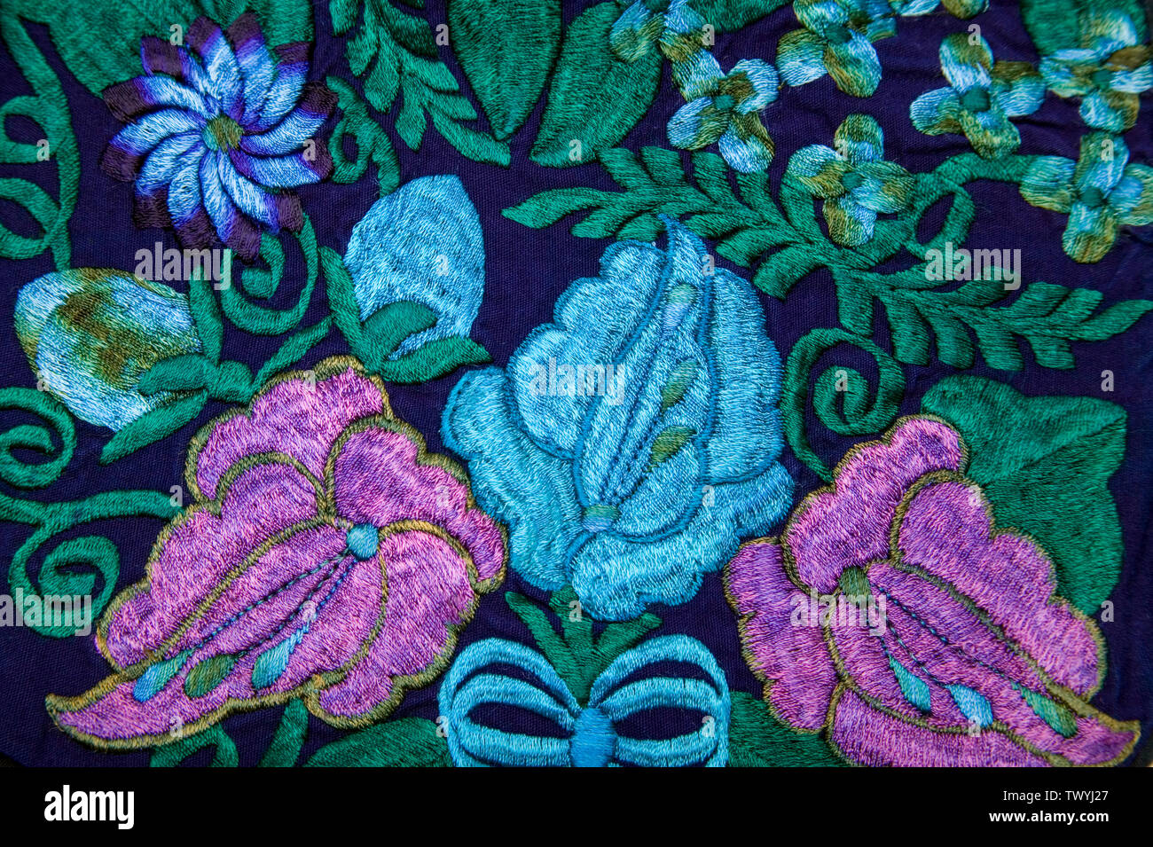 Motif de broderie florale sur tissu Banque D'Images