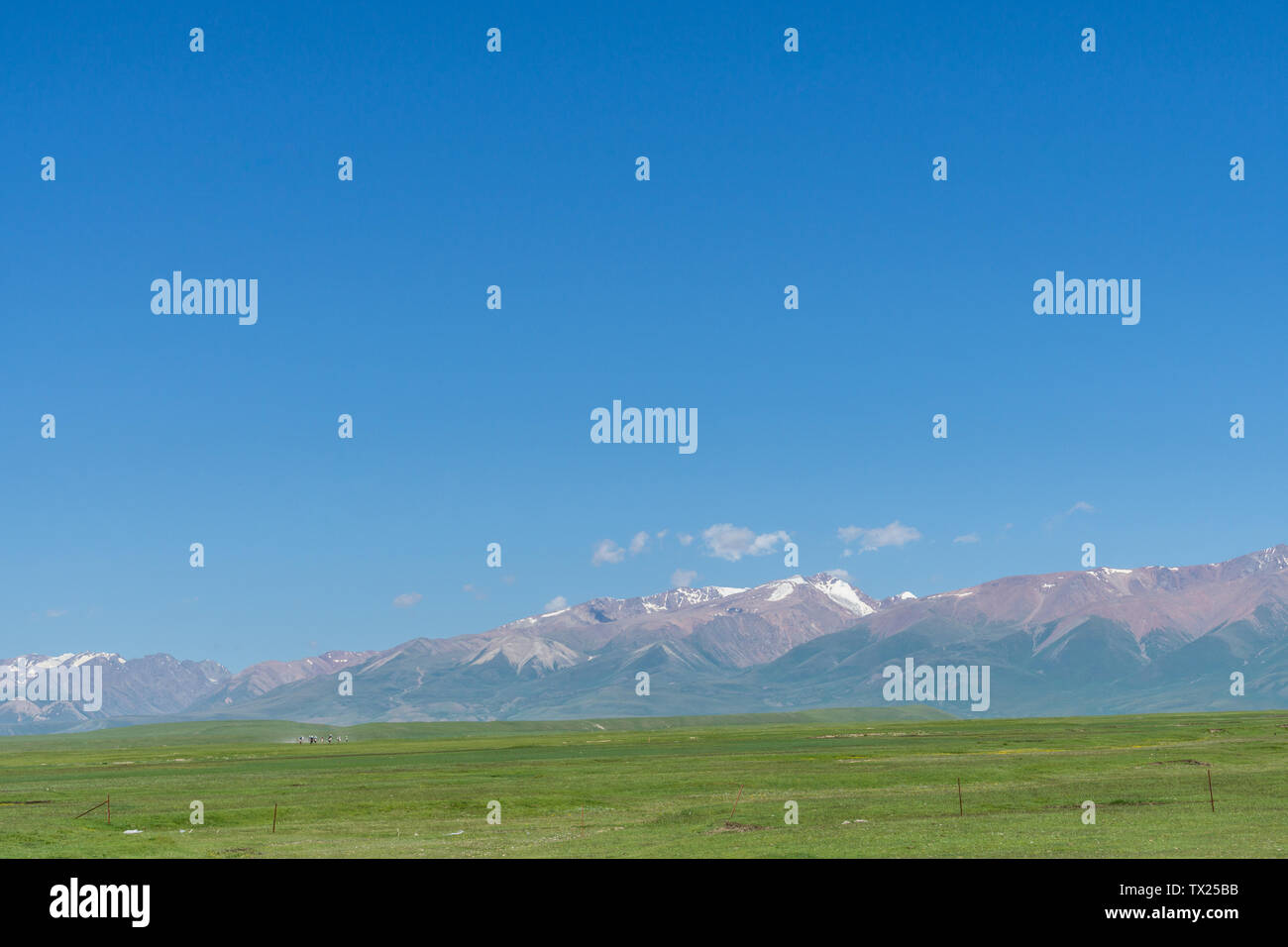 Les prairies alpines le long de la G217 Duku sous l'autoroute l'été, ciel bleu et nuages blancs dans le Xinjiang, Chine Banque D'Images