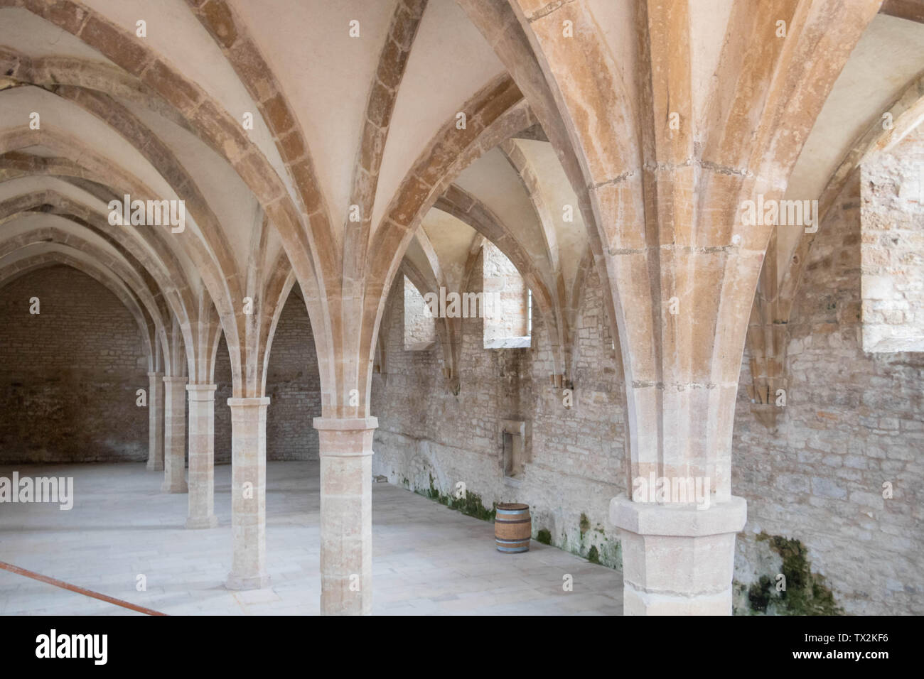 Caves historiques et un baril de vin dans l'abbaye de Cluny Saône et Loire, Bourgogne France Europe Banque D'Images