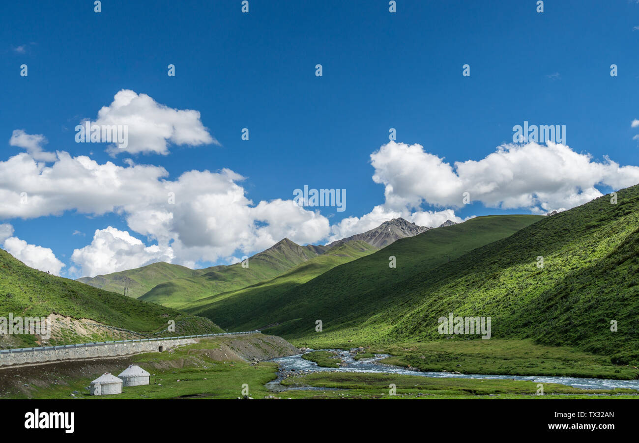 Les prairies alpines le long de la G217 Duku sous l'autoroute l'été, ciel bleu et nuages blancs dans le Xinjiang, Chine Banque D'Images