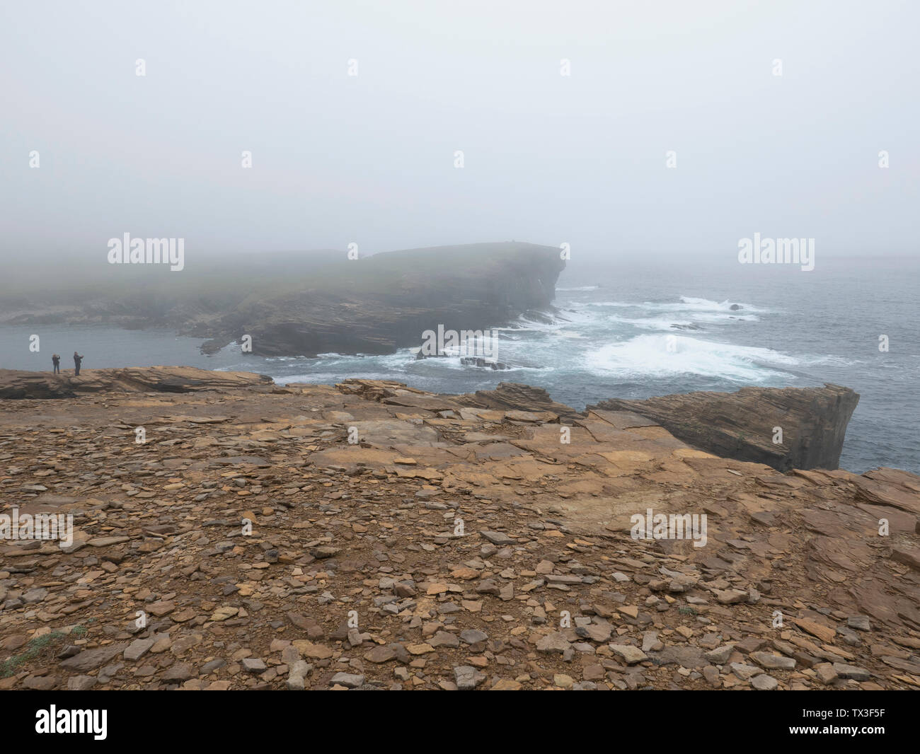 Les touristes sur falaise robuste bénéficiant d'une vue panoramique sur l'océan, les îles Orcades, Ecosse Banque D'Images